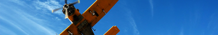 Guitar Collecting Rotating Header Image