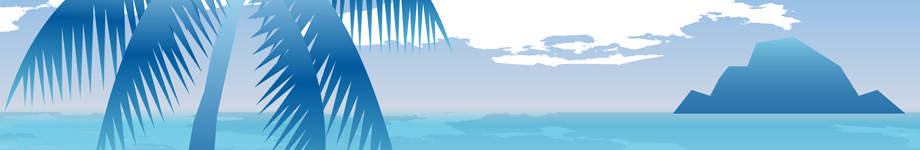 Guitar Collecting Rotating Header Image