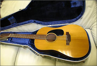 Martin D12-20 Guitar